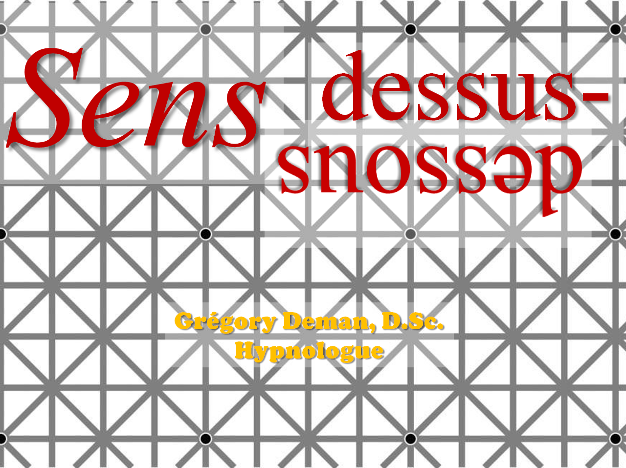 Présentation Sens dessus-dessous